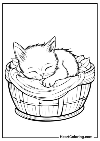 Bebé durmiendo - Dibujos de Gatos y Gatitos para Colorear