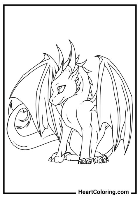 Lindo Dragón Joven - Dibujos de Dragones para colorear