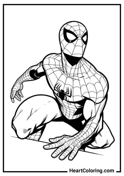 Sentido de aranha - Desenhos do Homem Aranha para Colorir