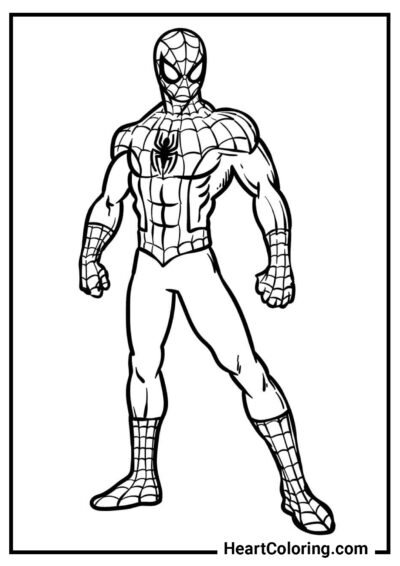 Super-herói favorito - Desenhos do Homem Aranha para Colorir