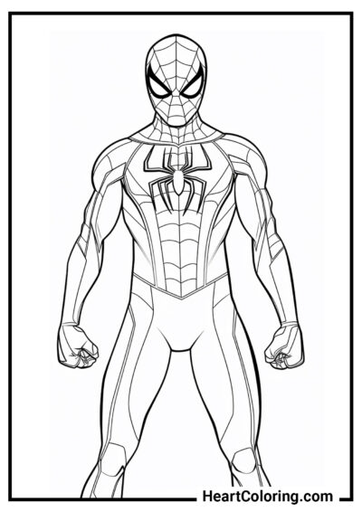 Homem-Aranha com punhos cerrados - Desenhos do Homem Aranha para Colorir