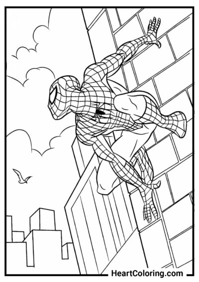 Análise da situação - Desenhos do Homem Aranha para Colorir