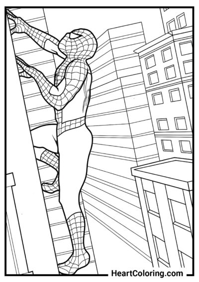 Caminho para o telhado - Desenhos do Homem Aranha para Colorir