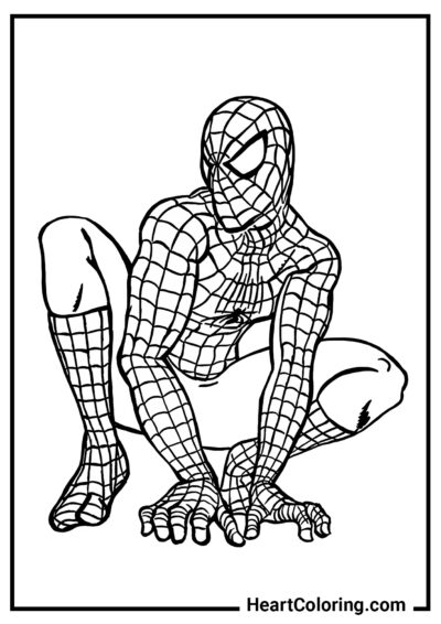 Poses favoritas do Homem-Aranha - Desenhos do Homem Aranha para Colorir