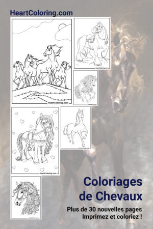 Coloriages de Chevaux