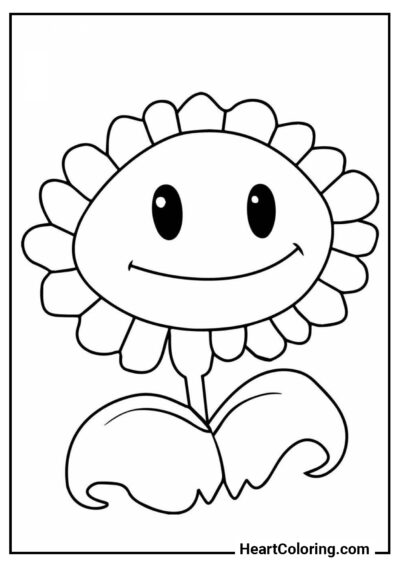 Girassol - Desenhos de Plants vs. Zombies para Colorir