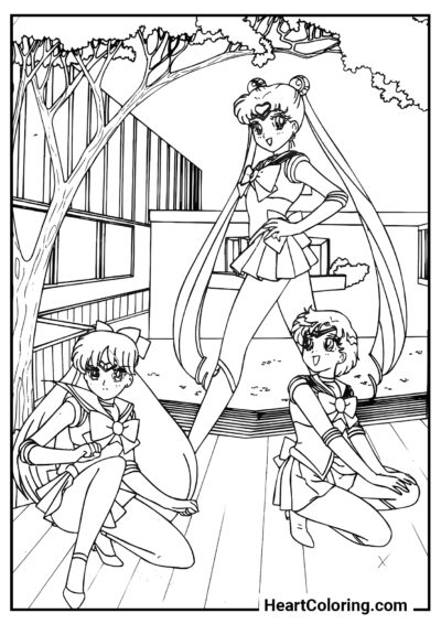 Três Amigos sob a Árvore - Desenhos de Sailor Moon para Colorir