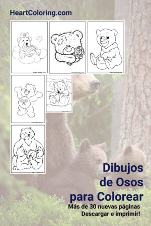 Dibujos de Osos para Colorear