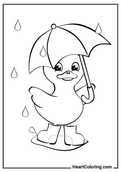 Patinho na Chuva - Desenhos de Outono para Colorir